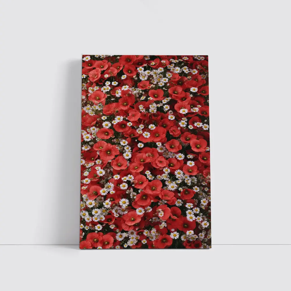 Red Poppies and White Daisies Flower Field – Wall Art