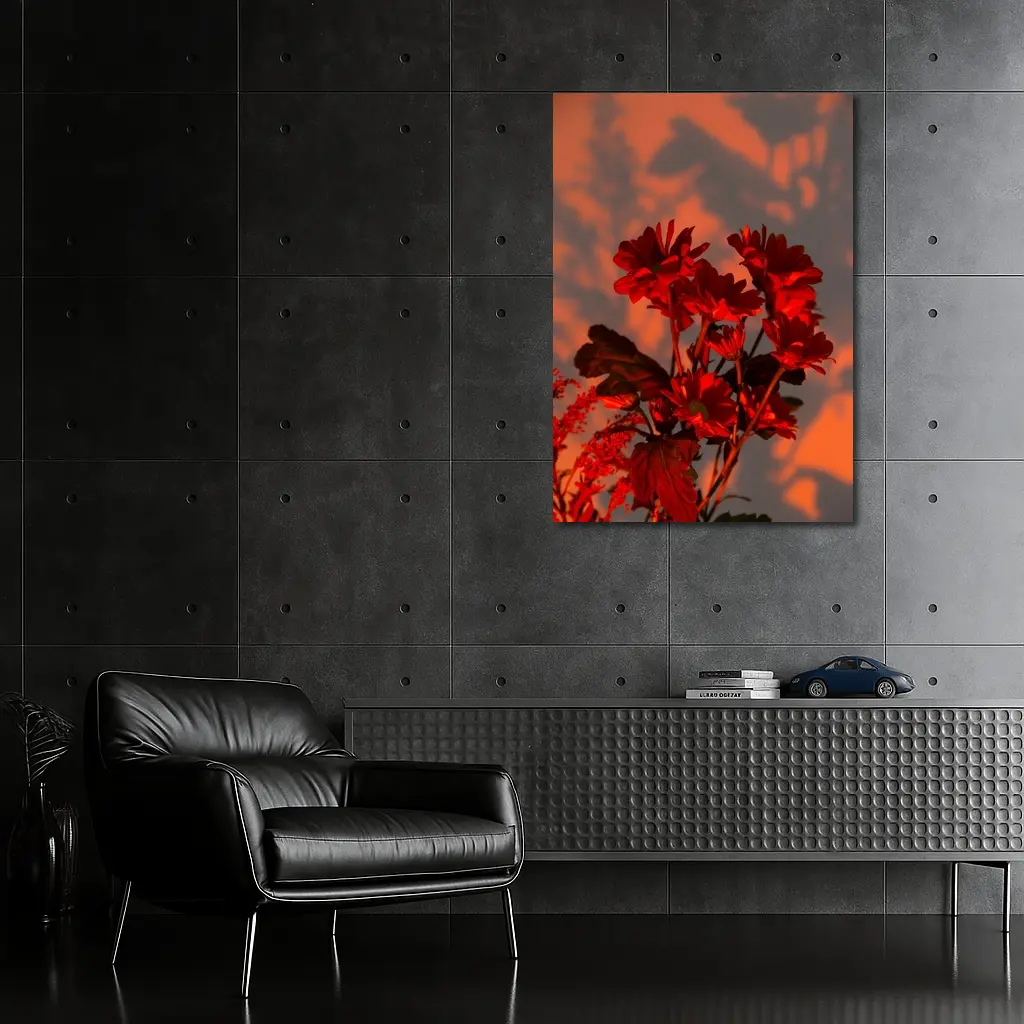 Red Chrysanthums Glowing Warm Sunset Wall – Wall Art