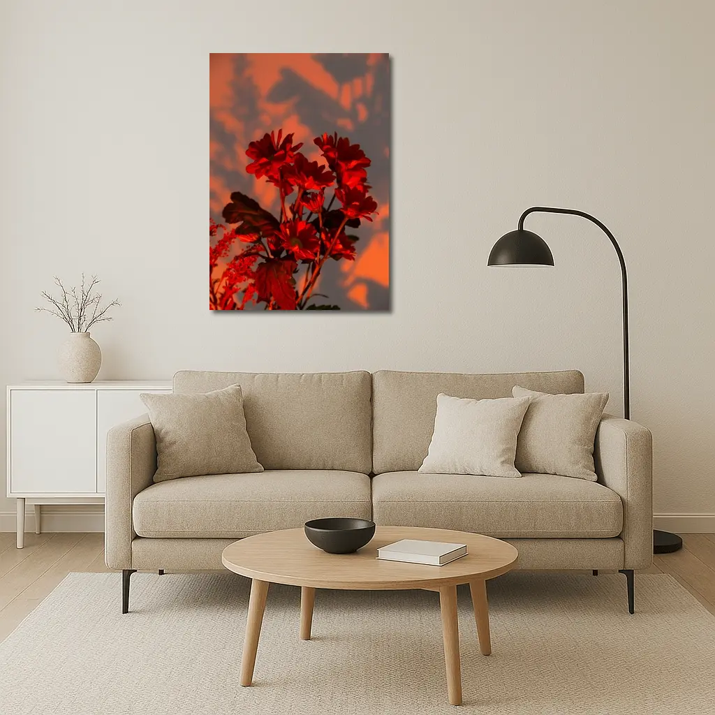 Red Chrysanthums Glowing Warm Sunset Wall – Wall Art
