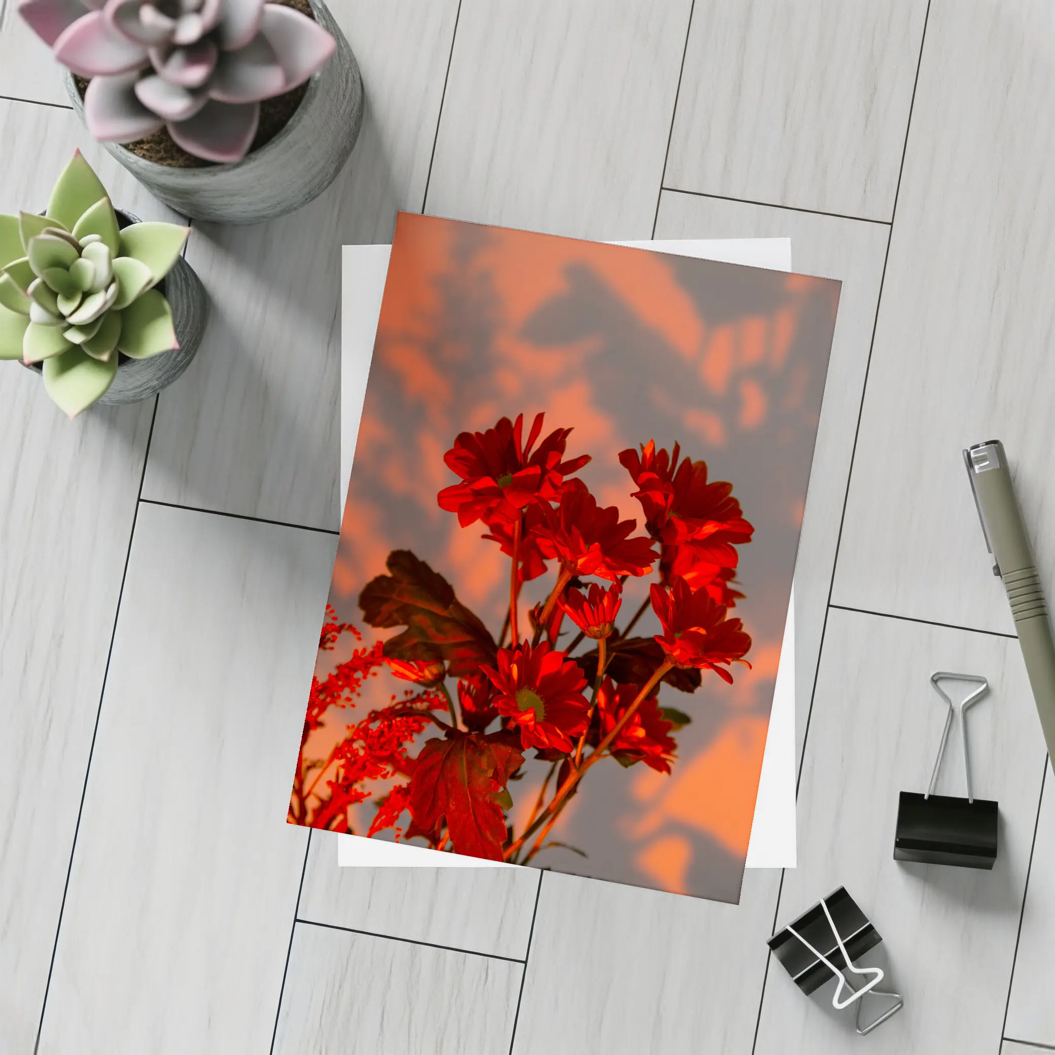 Red Chrysanthums Glowing Warm Sunset Wall – Postcards