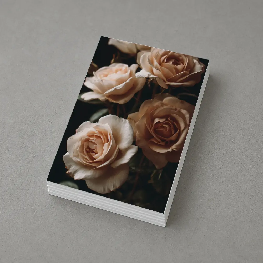 Peach Roses Dark Moody Floral Background – Postcards