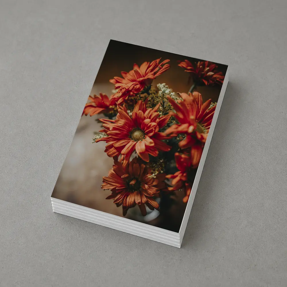Red Chrysanthemums Bouquet Warm Dark Background – Postcards