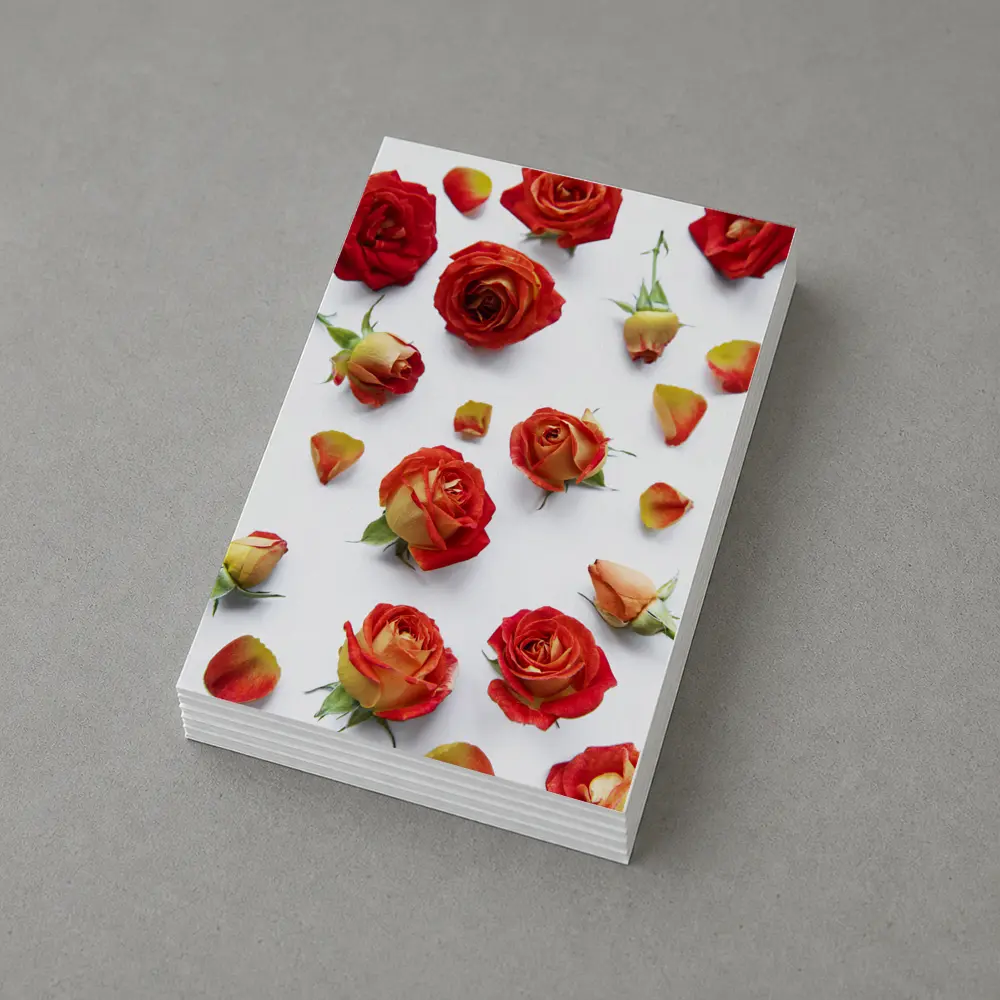 Red Roses and Petals White Background – Postcards