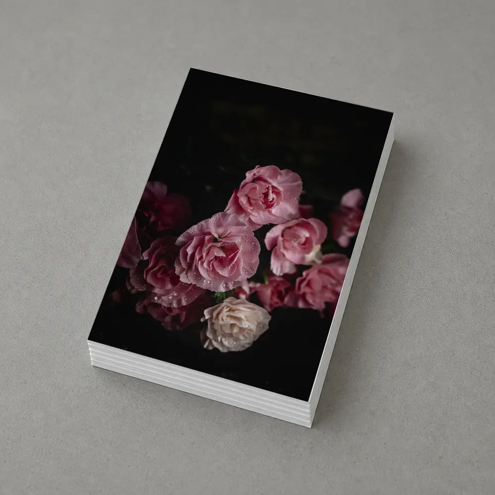 Pink Roses With Water Drops Dark Background – Postcards