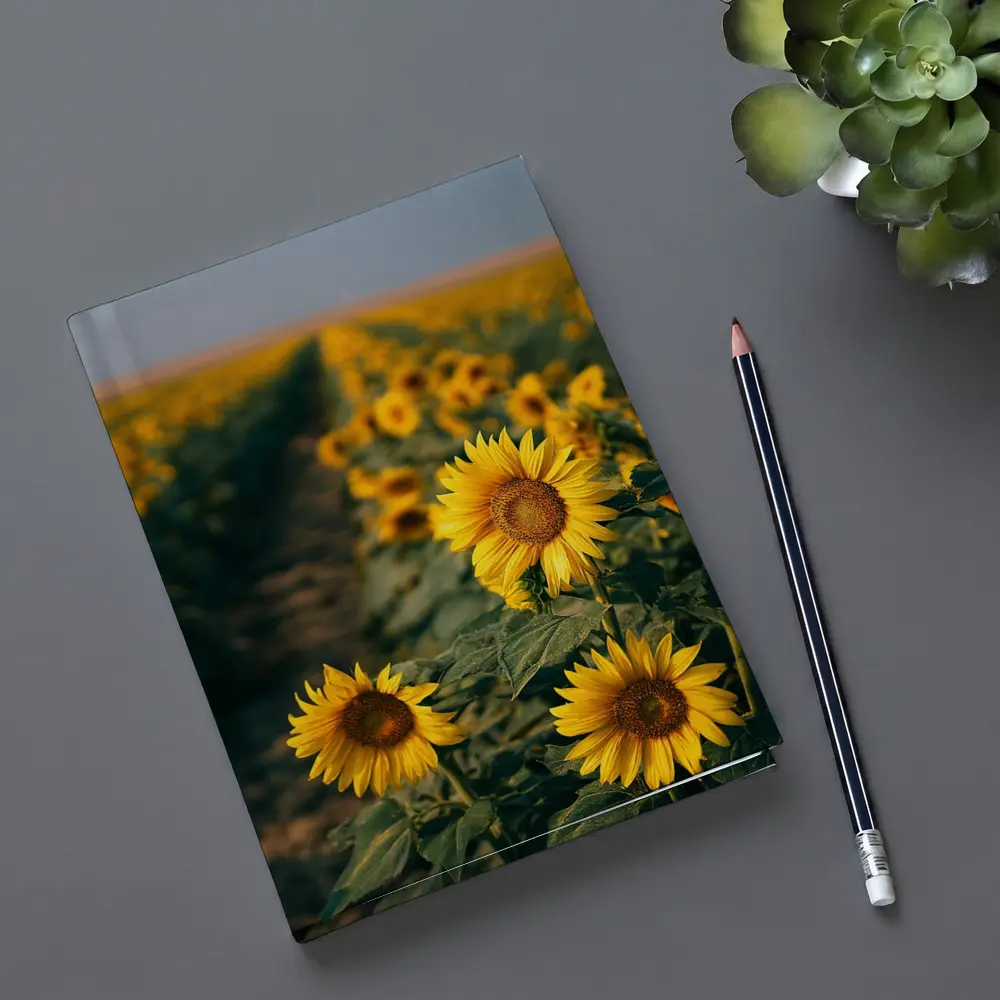 Sunflower Field Rows Under Clear Sky – Notebooks