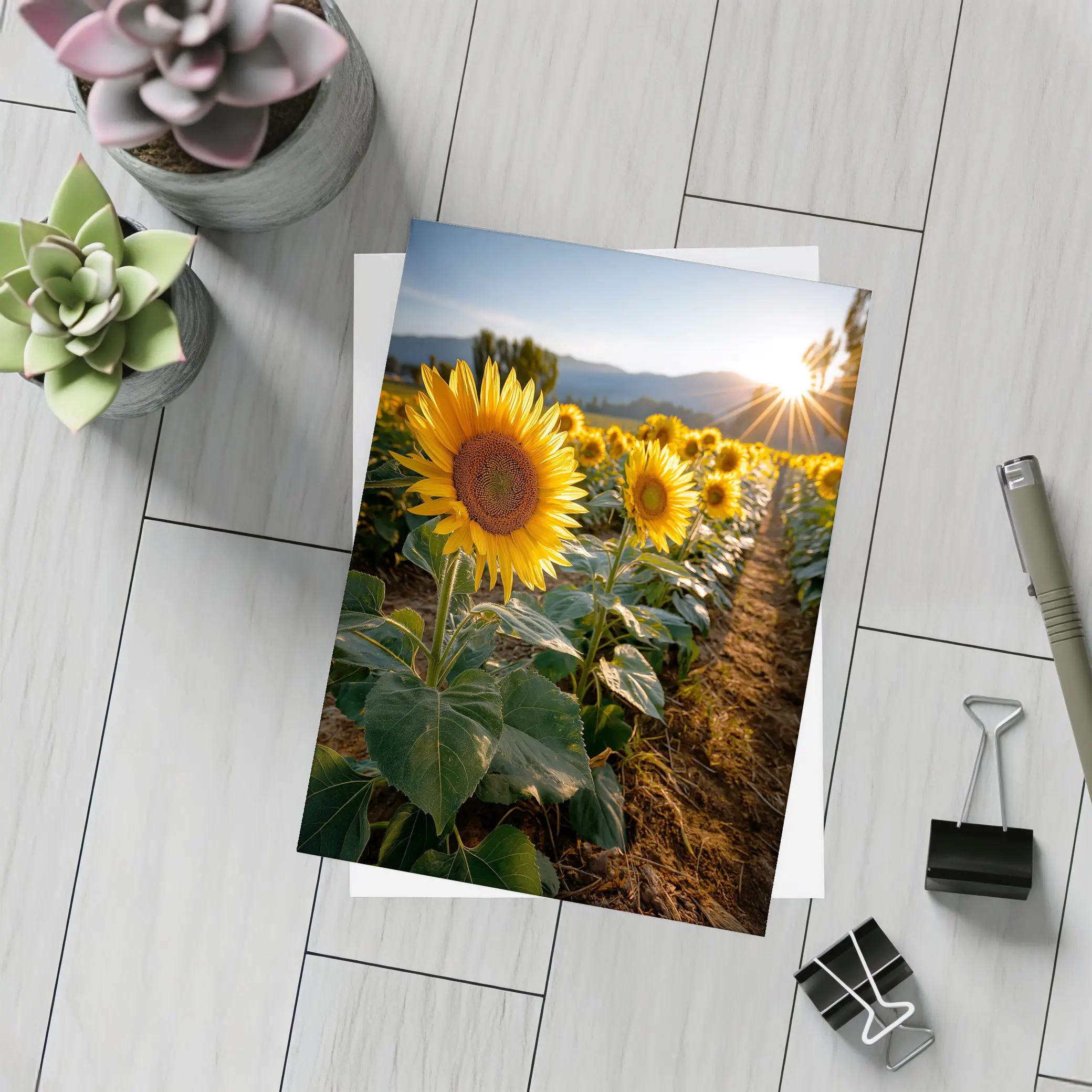 Sunflower Field Golden Hour Mountain Backdrop – Postcards