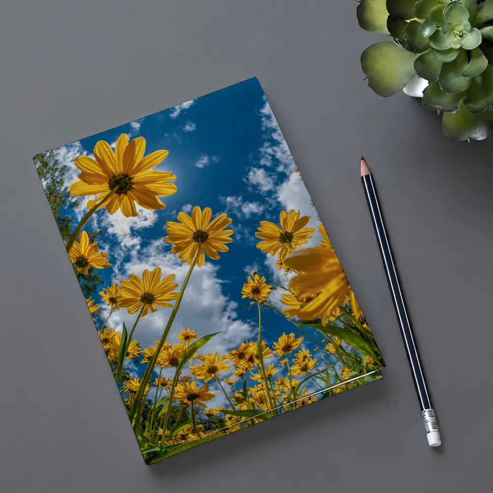 Yellow Daisies Against Blue Summer Sky – Notebooks