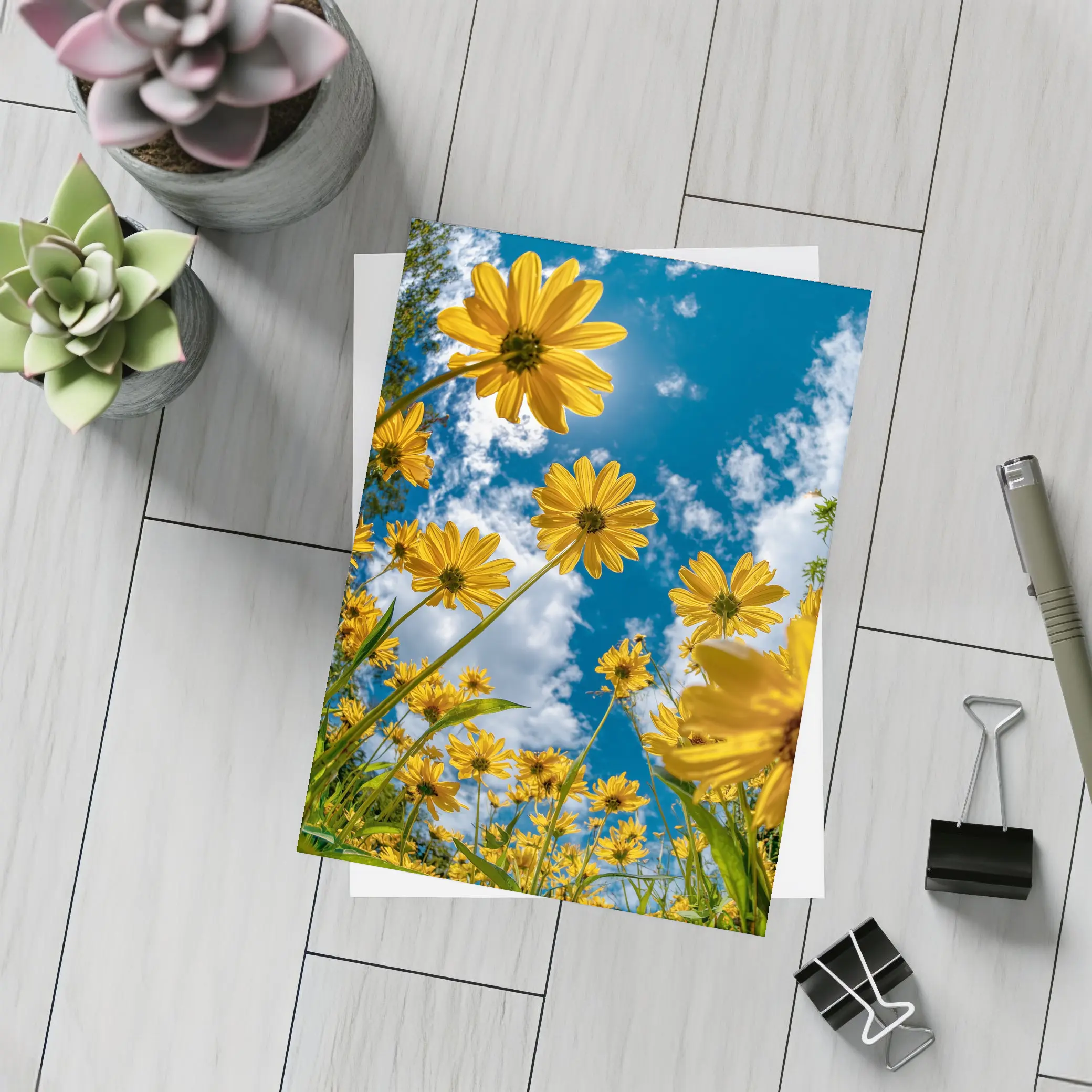 Yellow Daisies Against Blue Summer Sky – Postcards