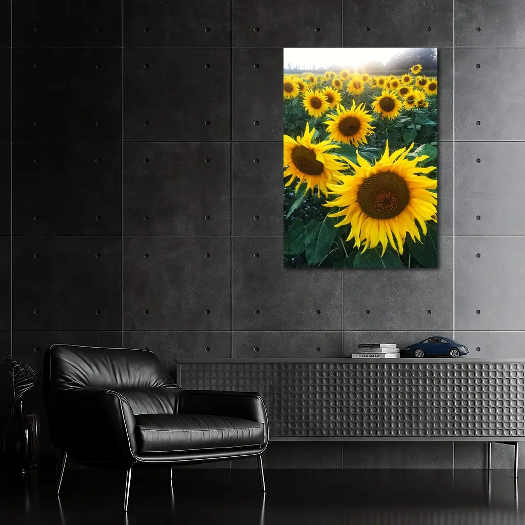 Sunflower Field Golden Summer Light – Wall Art