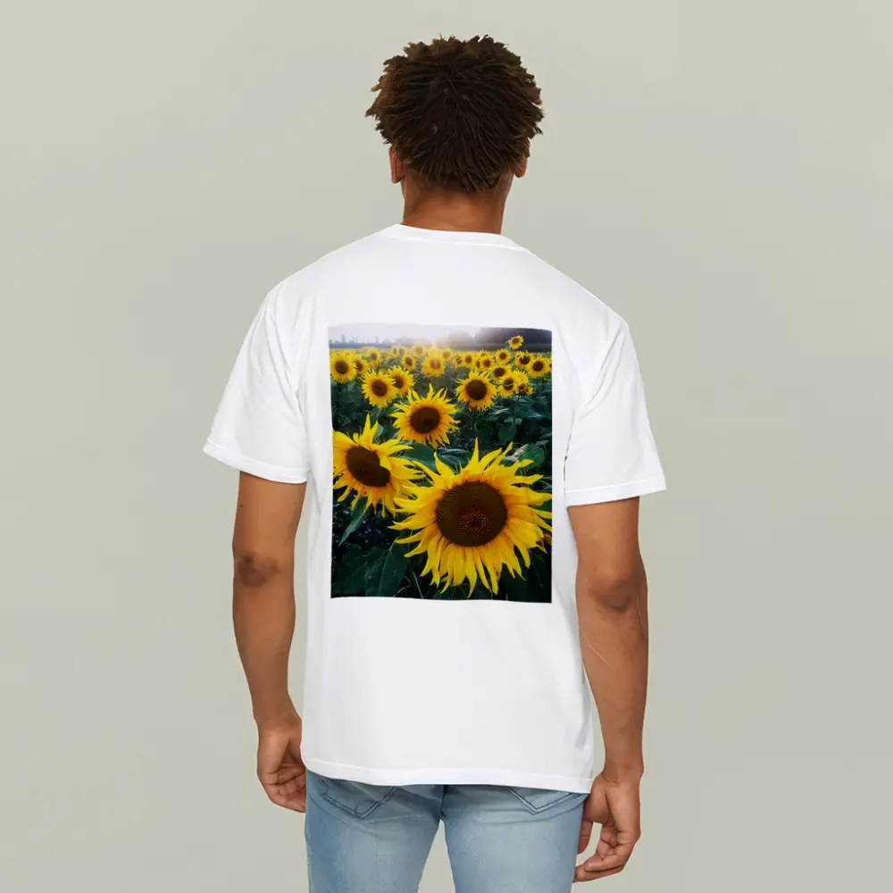 Sunflower Field Golden Summer Light – T-Shirts