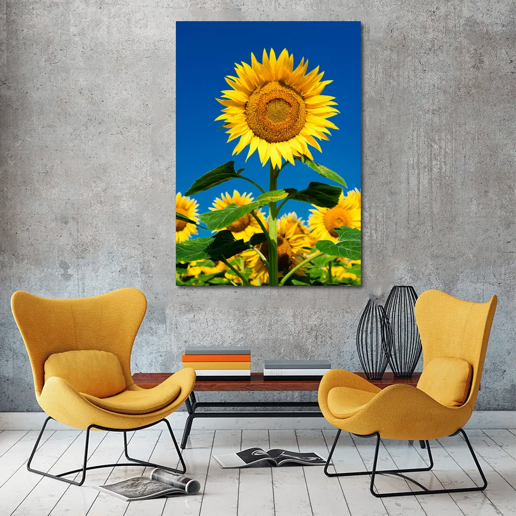Sunflower Field Against Clear Blue Sky – Wall Art
