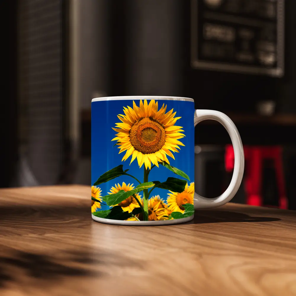 Sunflower Field Against Clear Blue Sky – Mugs