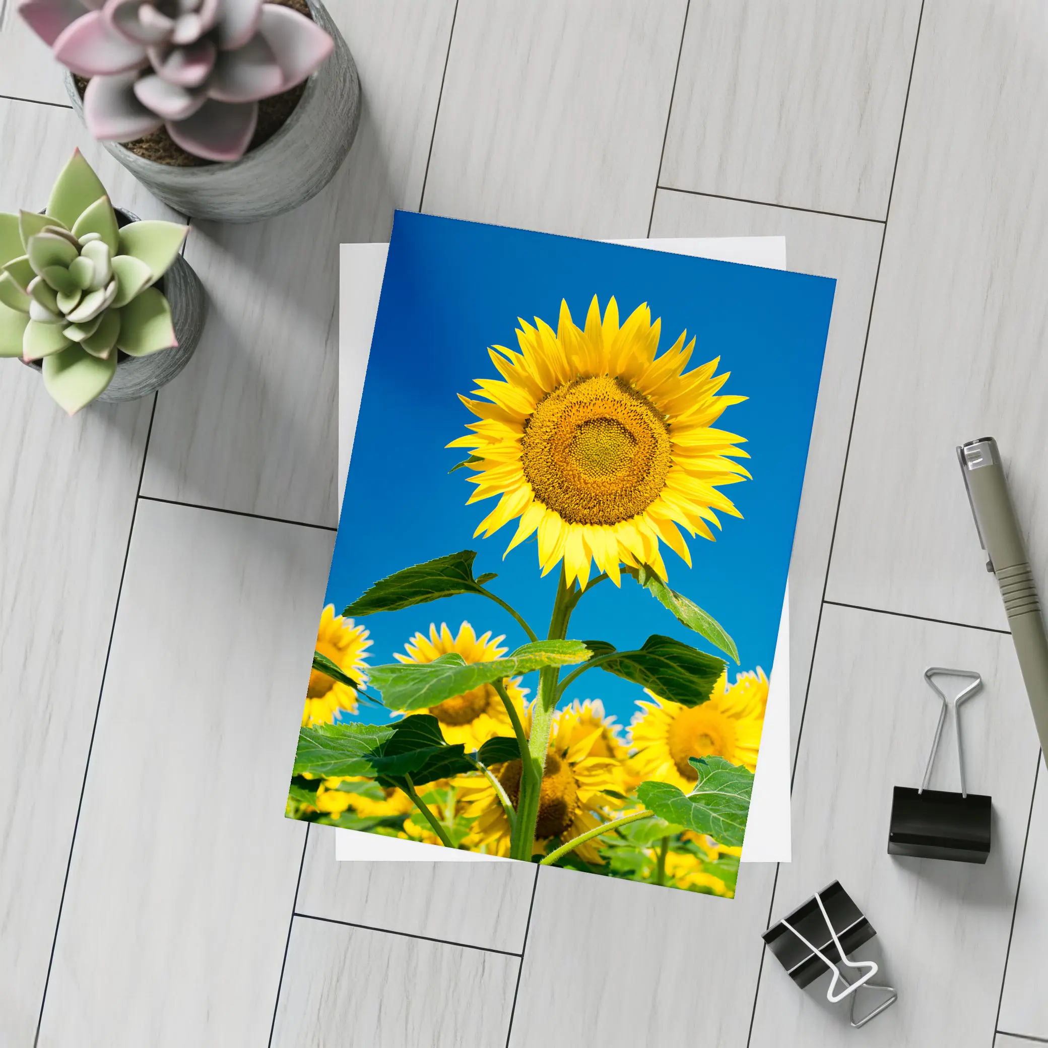 Sunflower Field Against Clear Blue Sky – Postcards