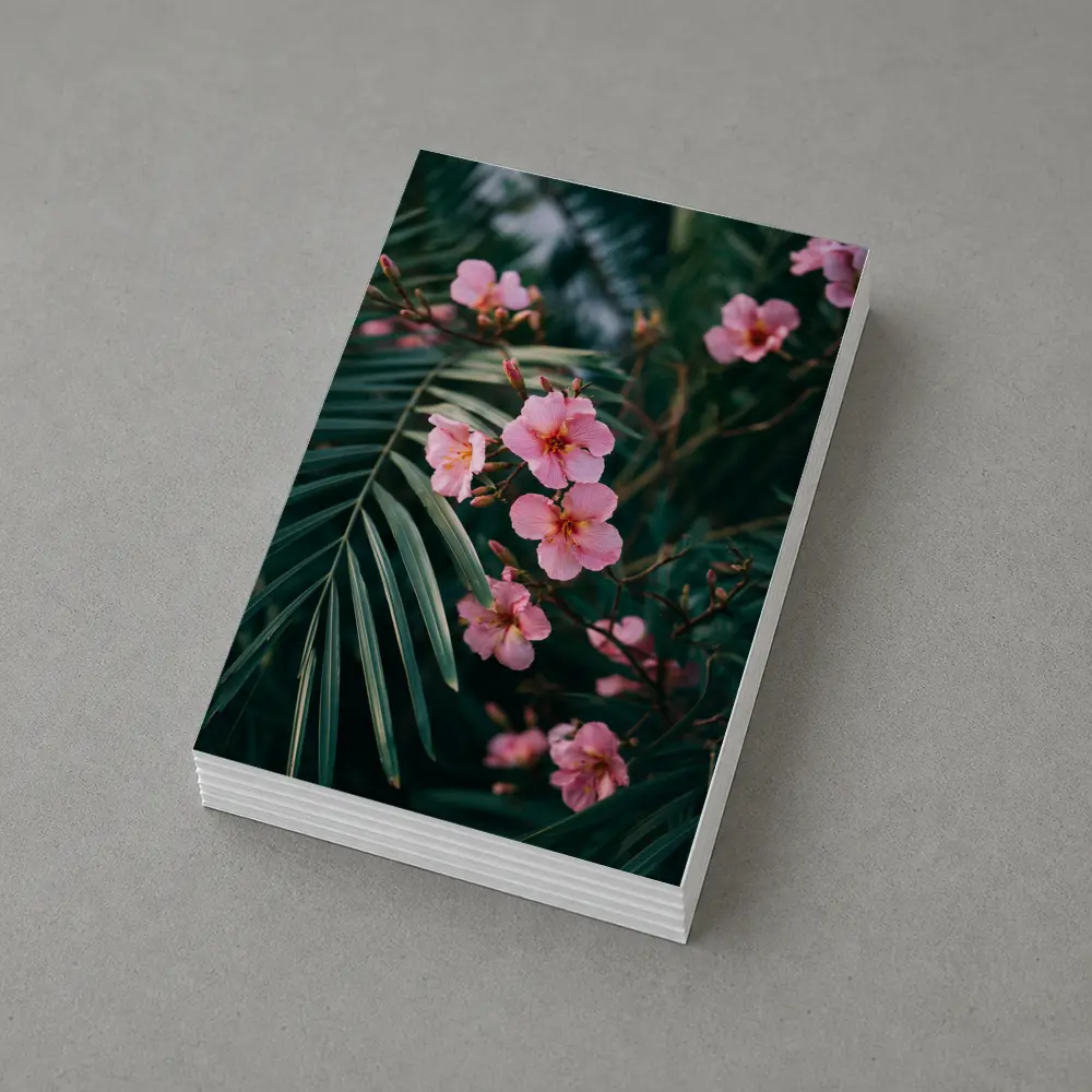 Pink Oleander Flowers Among Green Palm Leaves – Postcards