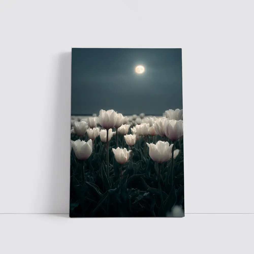 White Tulips Field Under Full Moon – Wall Art