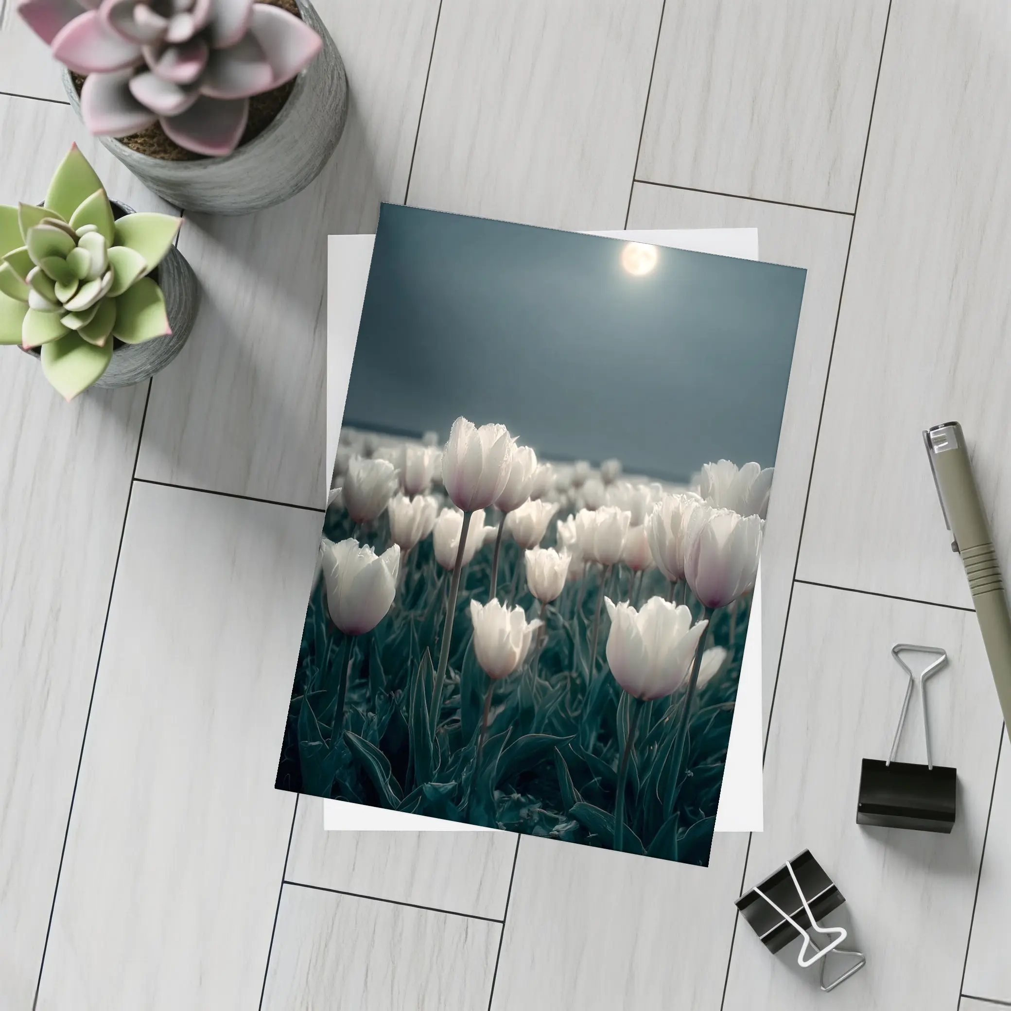 White Tulips Field Under Full Moon – Postcards
