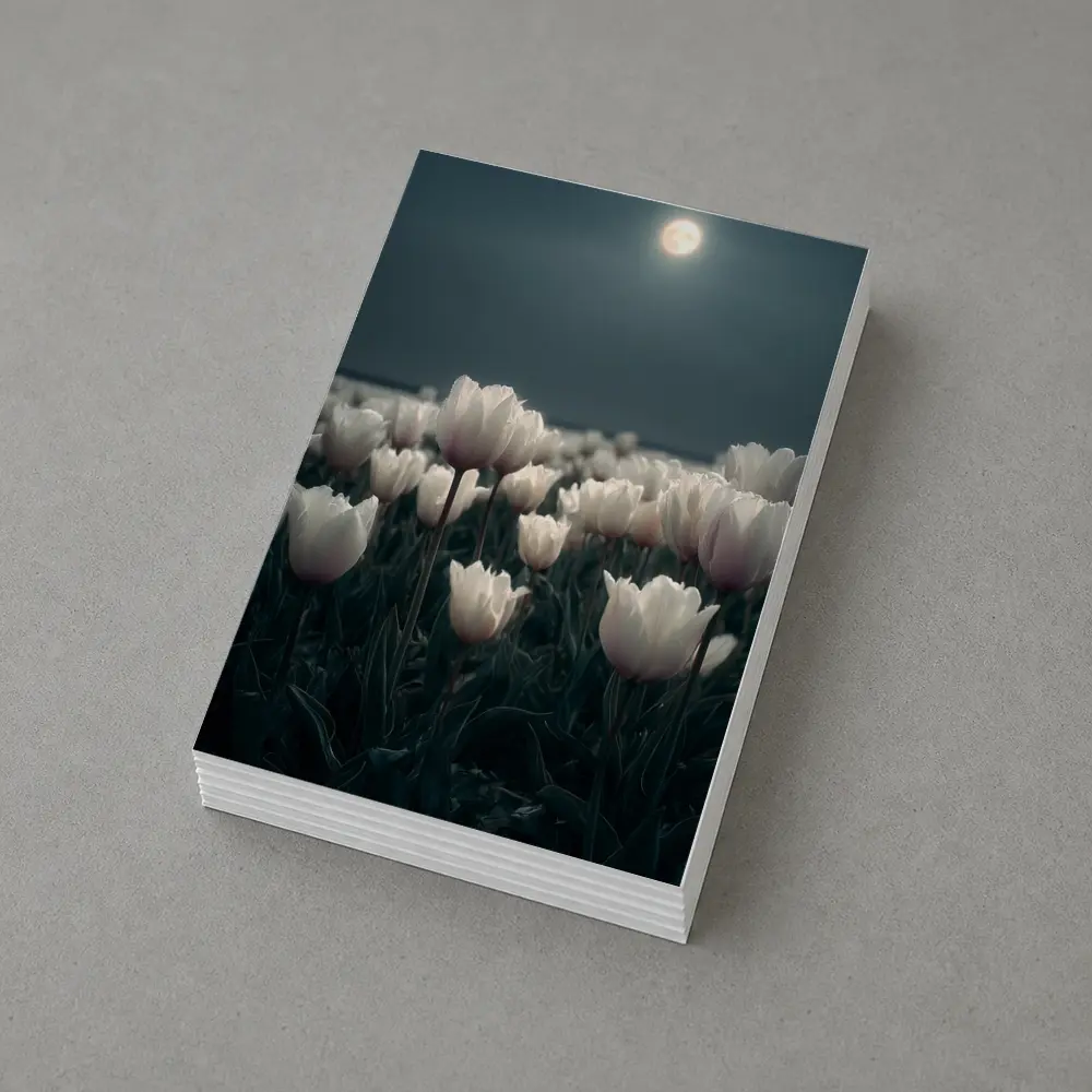 White Tulips Field Under Full Moon – Postcards