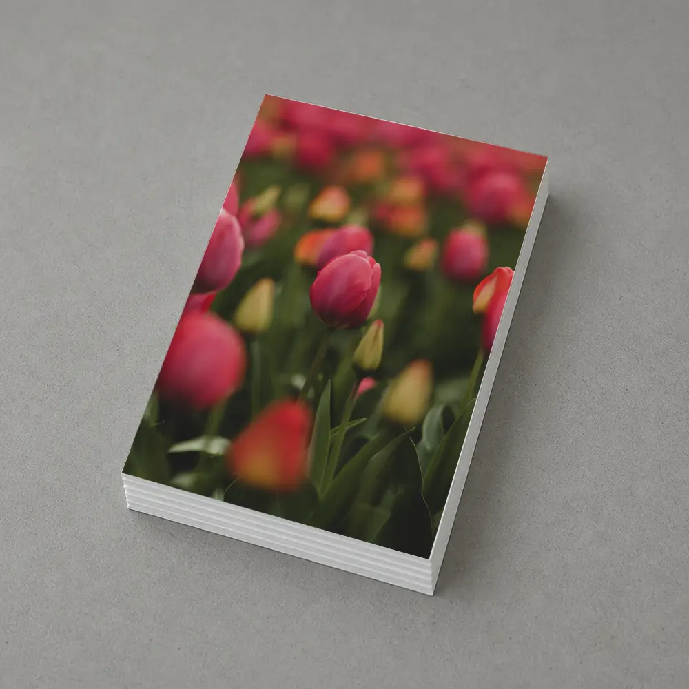 Pink Tulips Field Soft Green Background – Postcards