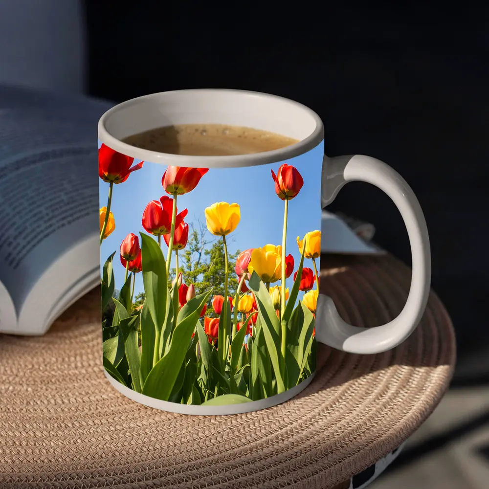 Red Yellow Tulips Against Blue Sky – Mugs