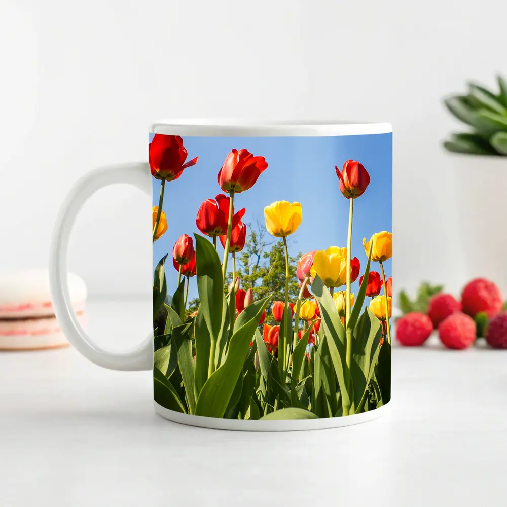 Red Yellow Tulips Against Blue Sky – Mugs