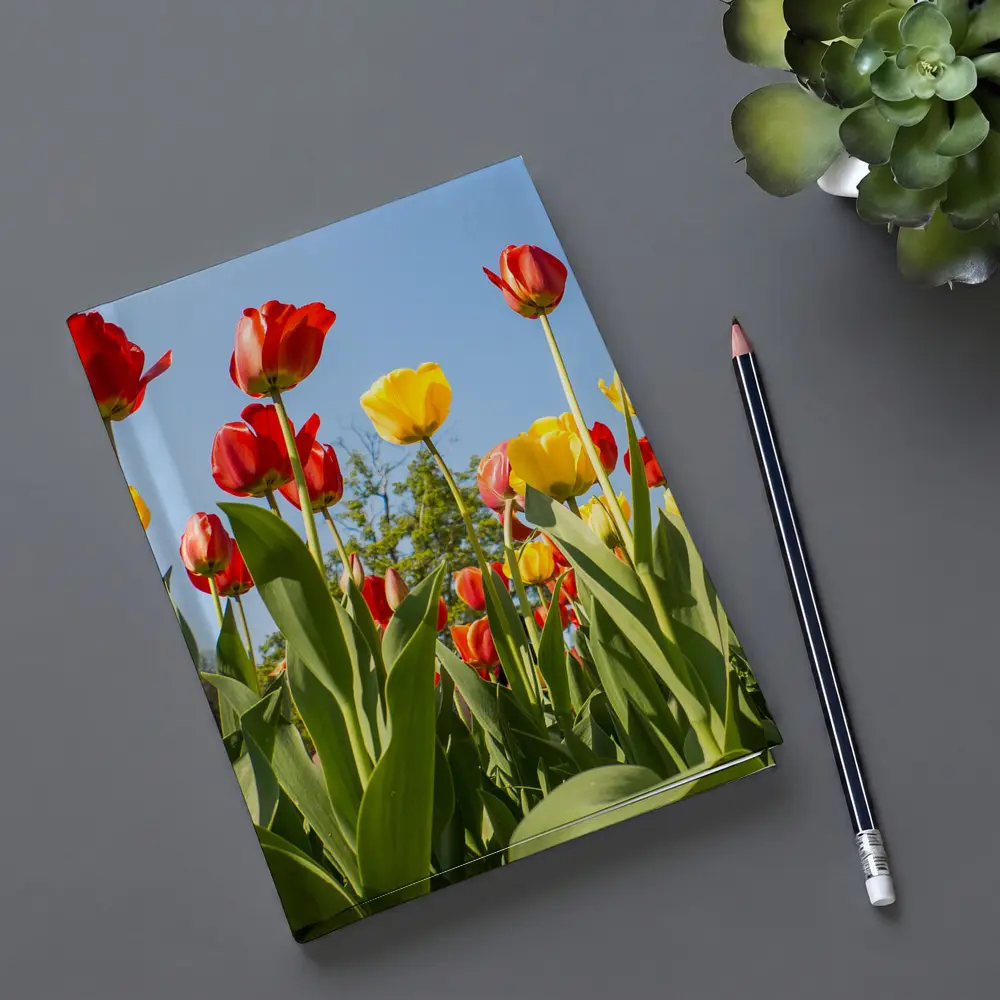 Red Yellow Tulips Against Blue Sky – Notebooks