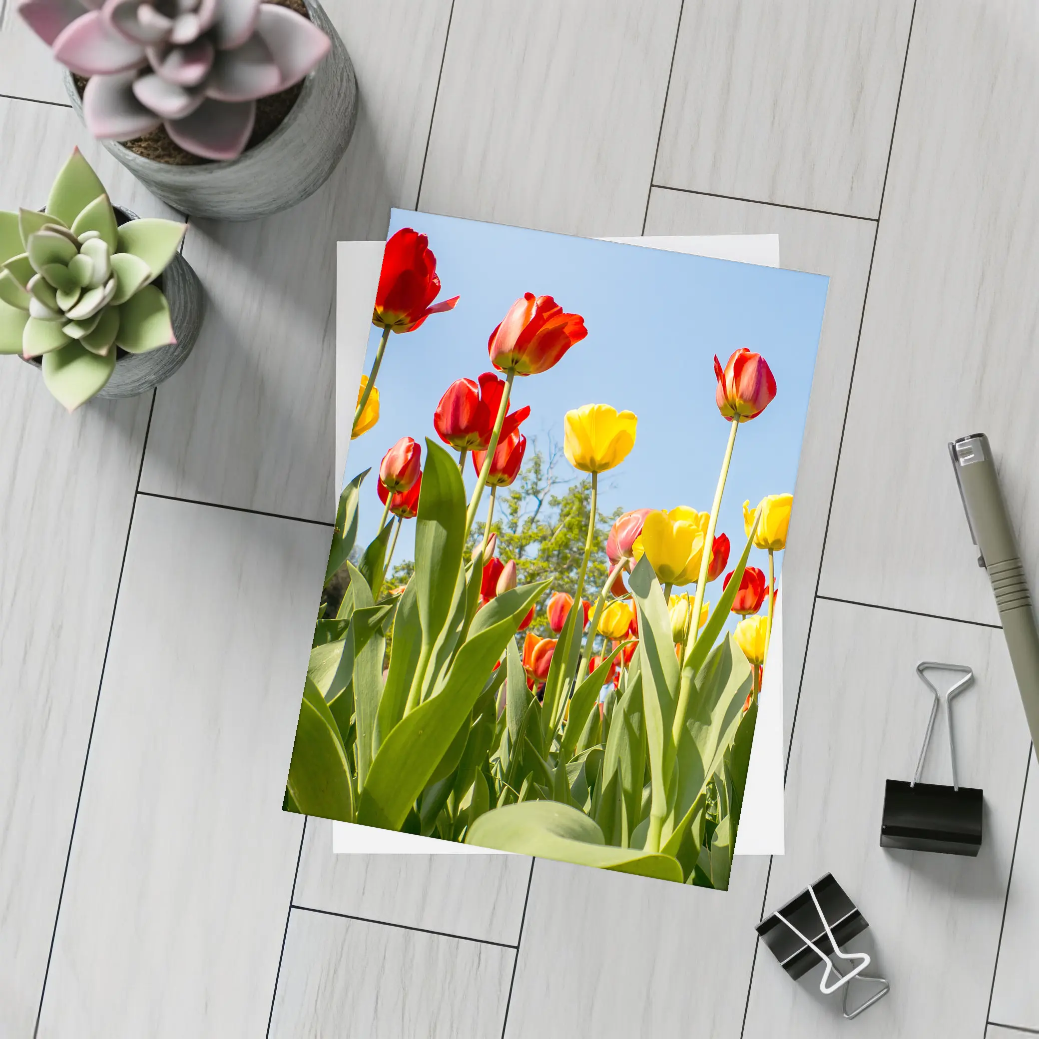 Red Yellow Tulips Against Blue Sky – Postcards