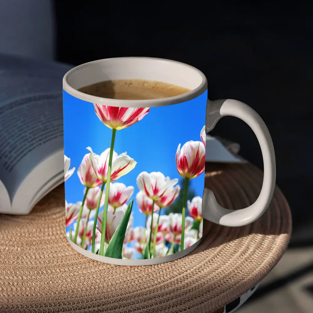 Red White Tulips Against Blue Sky – Mugs