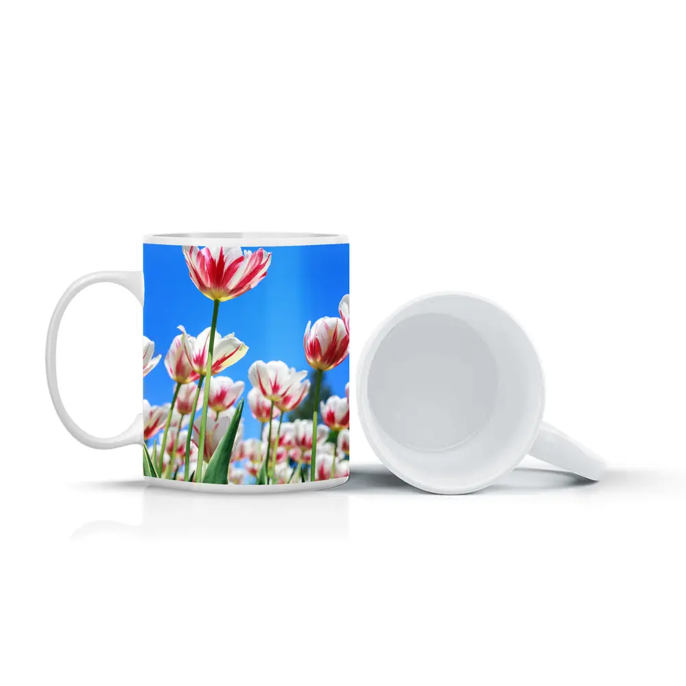 Red White Tulips Against Blue Sky – Mugs