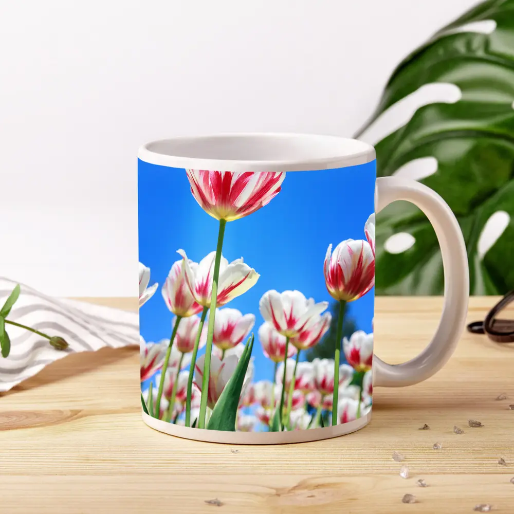 Red White Tulips Against Blue Sky – Mugs