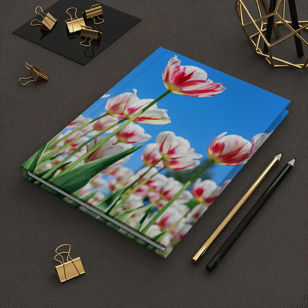 Red White Tulips Against Blue Sky – Notebooks