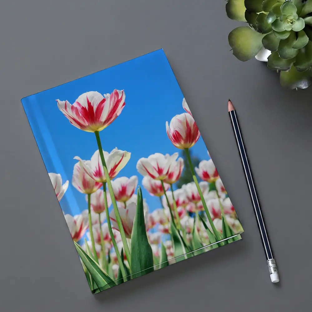 Red White Tulips Against Blue Sky – Notebooks