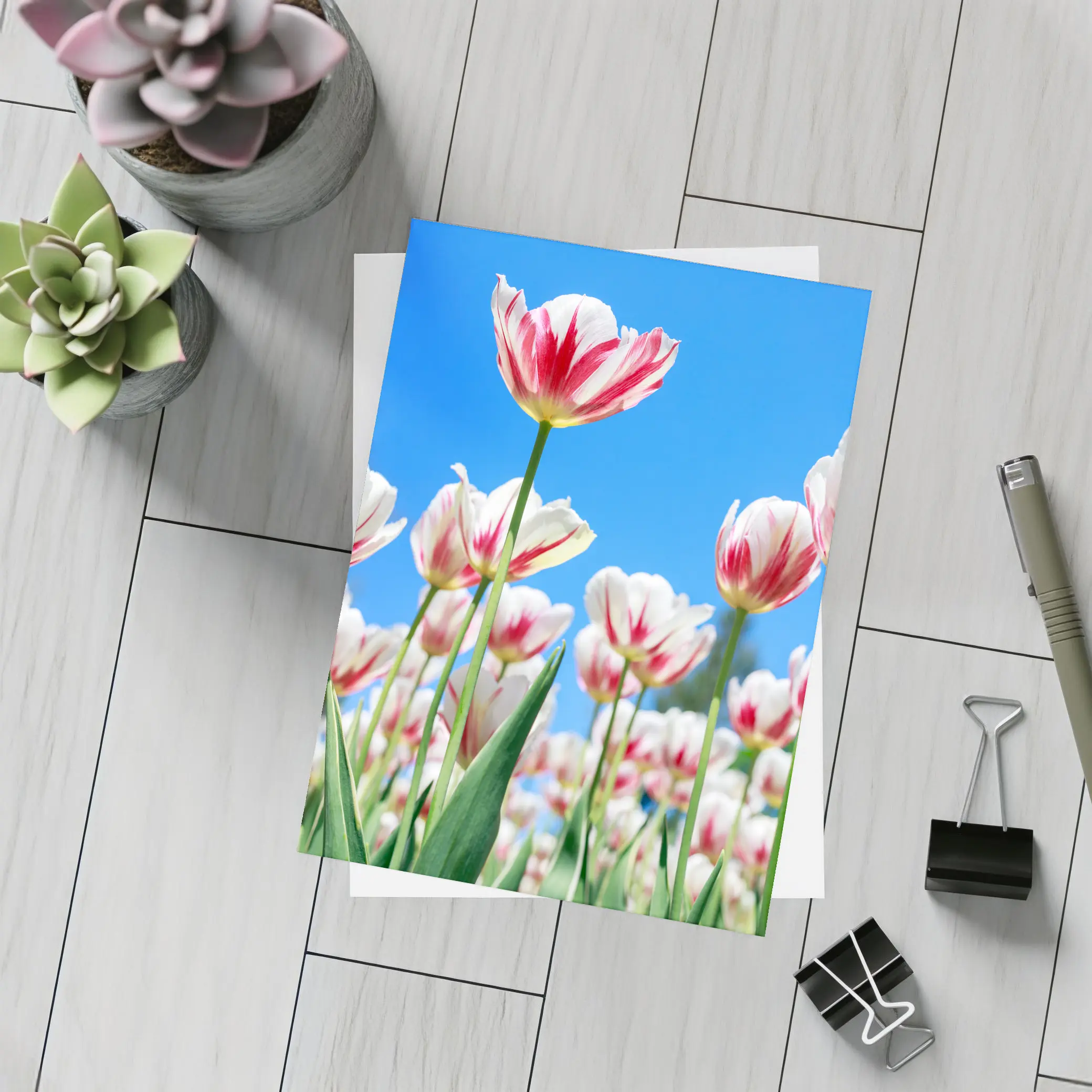 Red White Tulips Against Blue Sky – Postcards