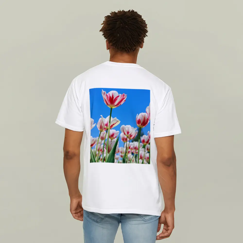 Red White Tulips Against Blue Sky – T-Shirts