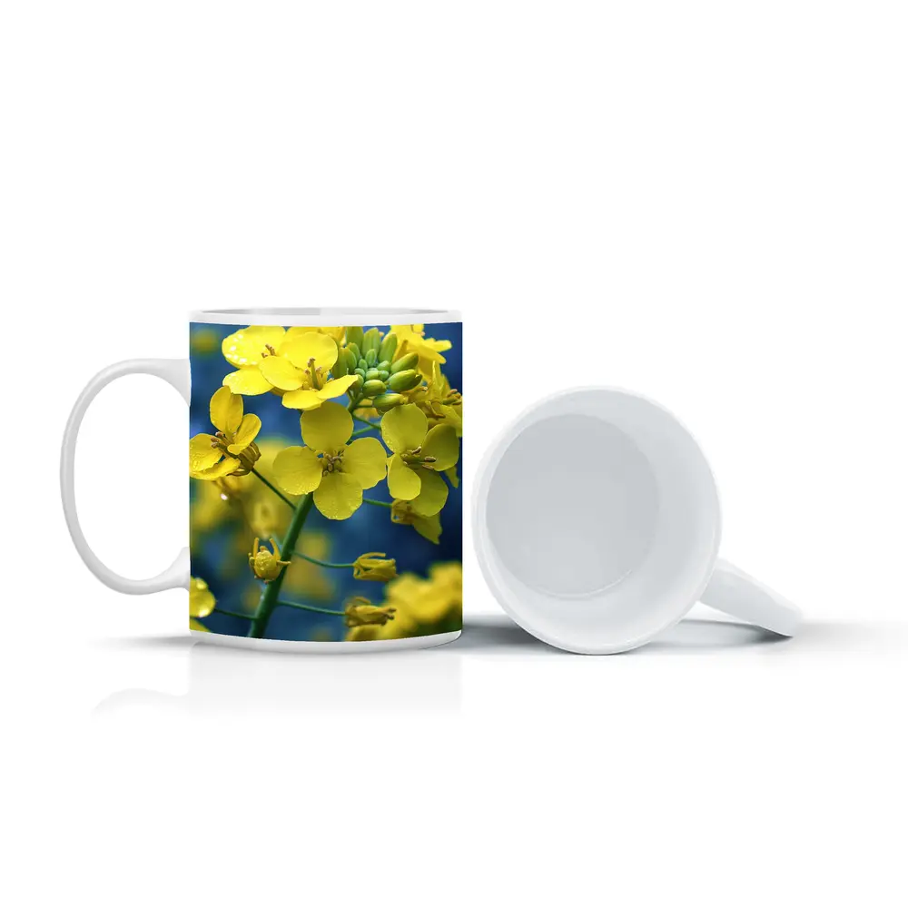 Yellow Rapeseed Flowers Against Blue Background – Mugs