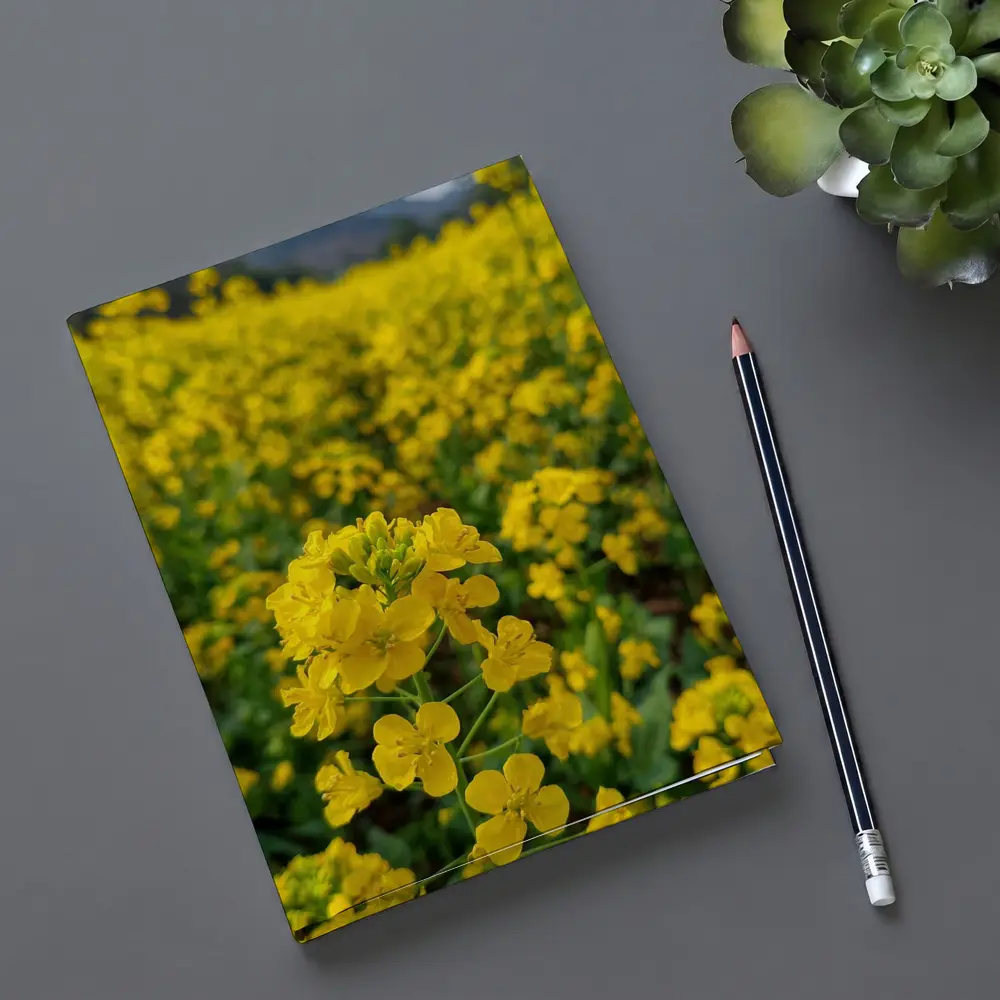Yellow Rapeseed Flowers Field Mountain Background – Notebooks