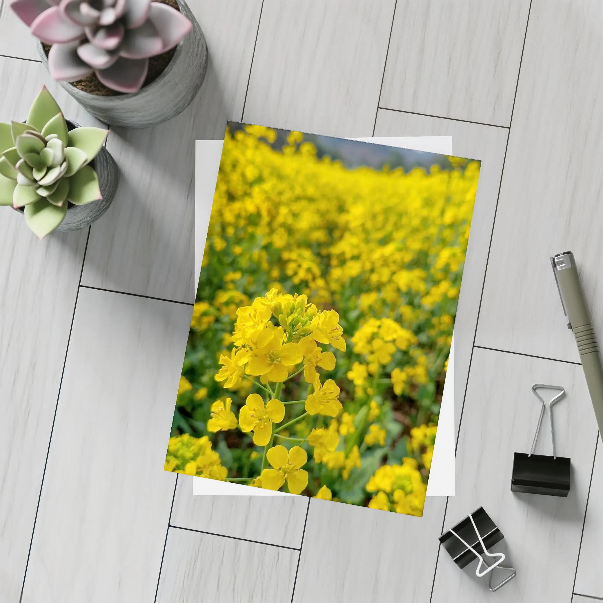 Yellow Rapeseed Flowers Field Mountain Background – Postcards