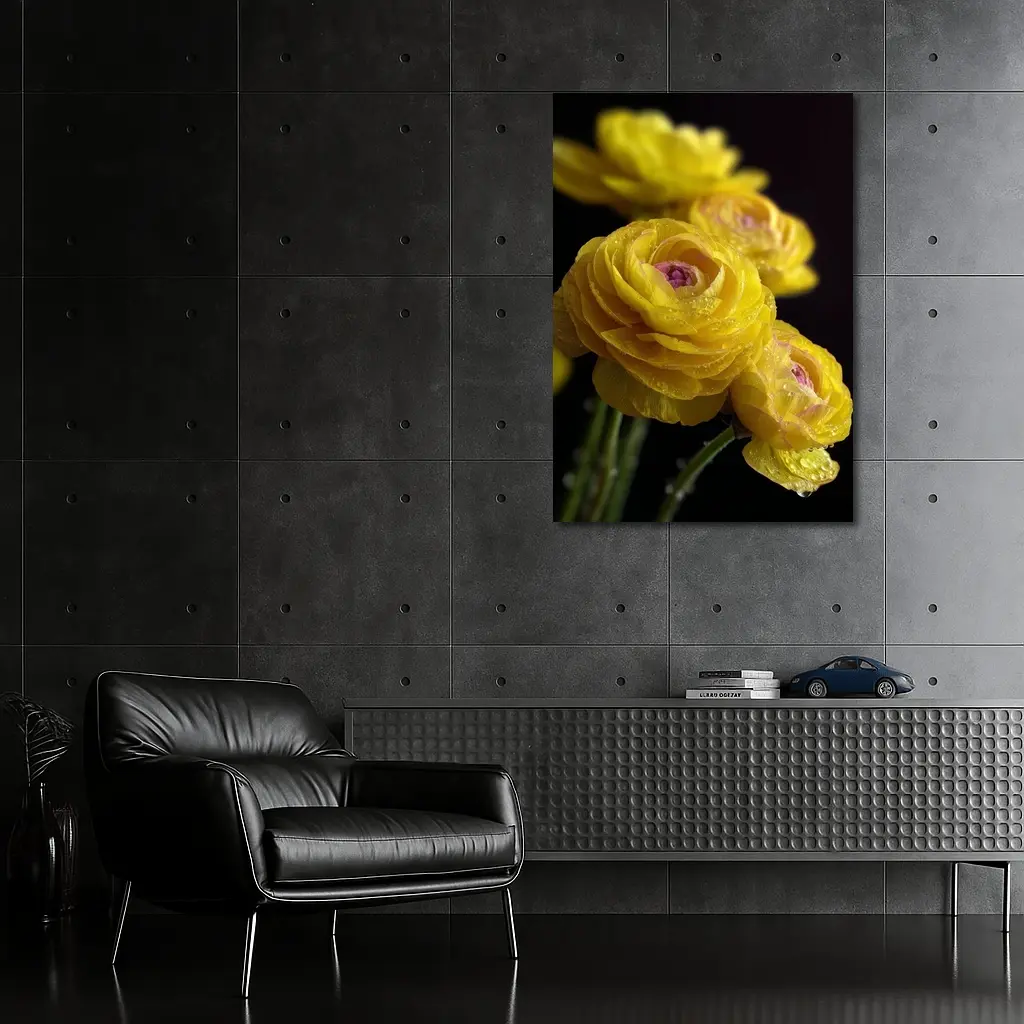 Yellow Ranunculus Flowers With Water Droplets – Wall Art