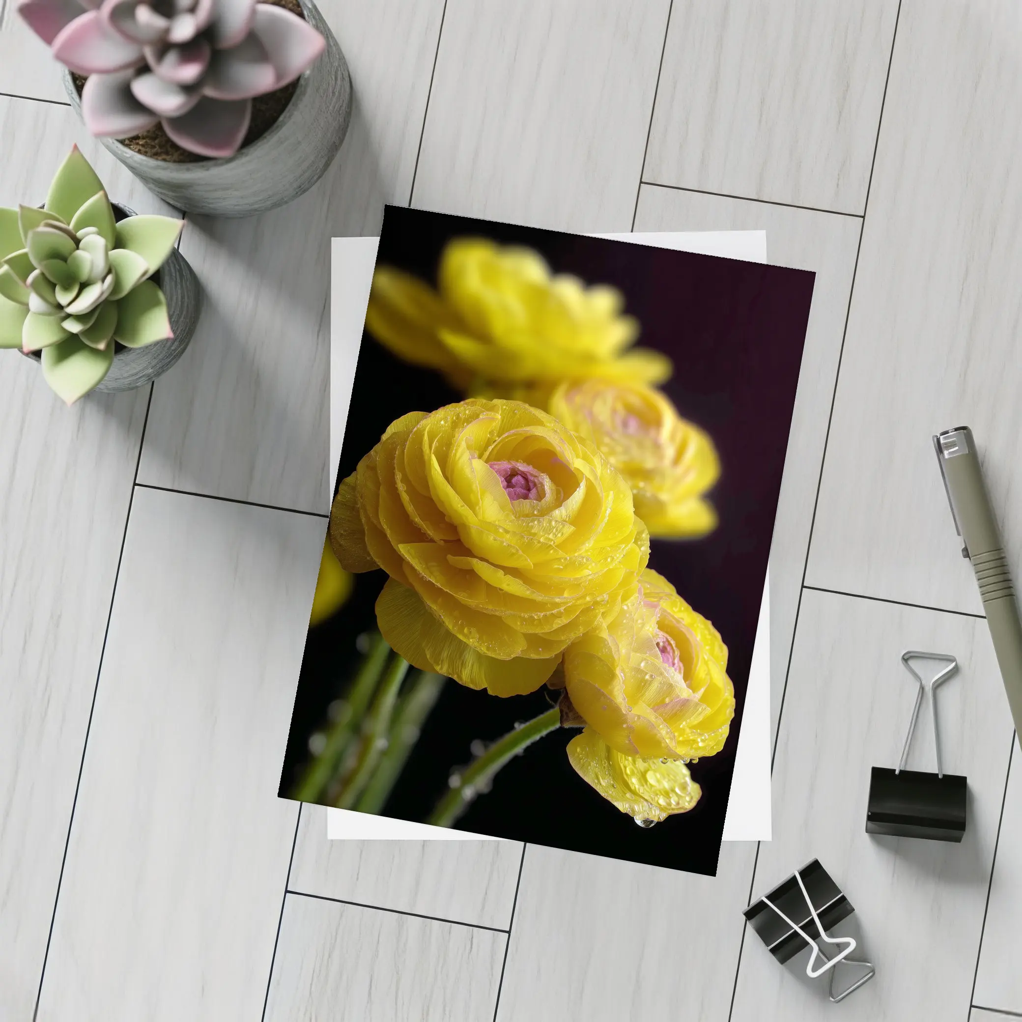 Yellow Ranunculus Flowers With Water Droplets – Postcards