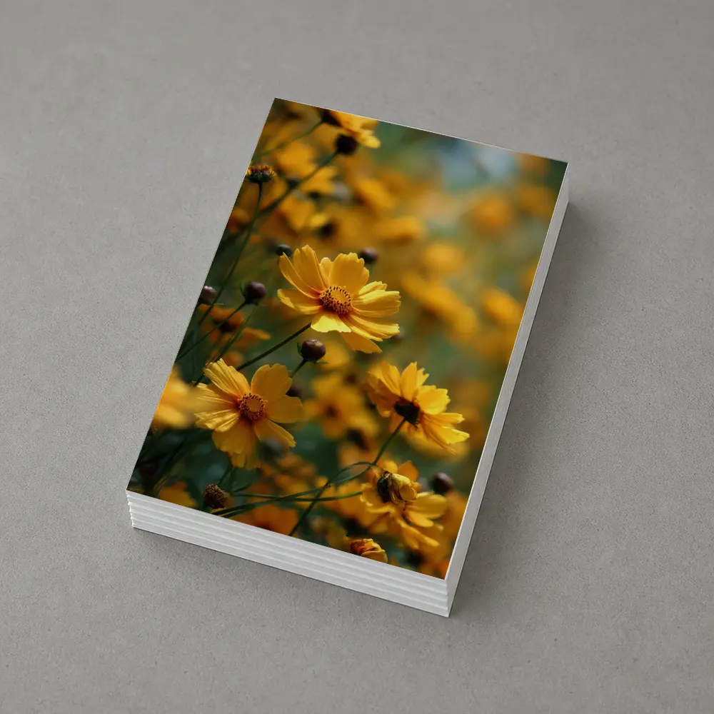 Yellow Coreopsis Flowers Green Blurred Garden Background – Postcards