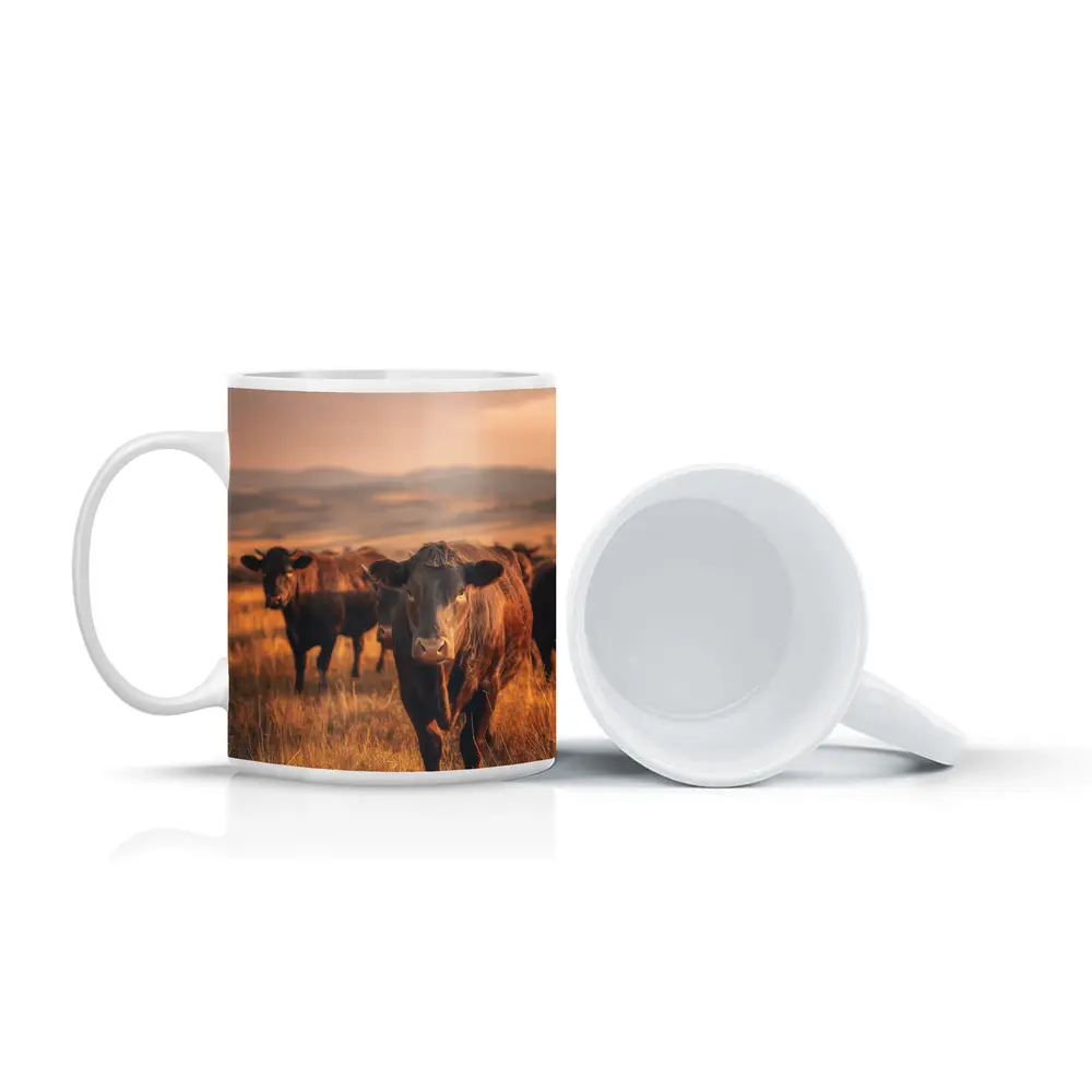 Angus Cattle Grazing Golden Dry Grassland – Mugs