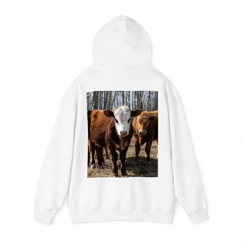 Hereford Calves Standing in Bare Field – Hoodies