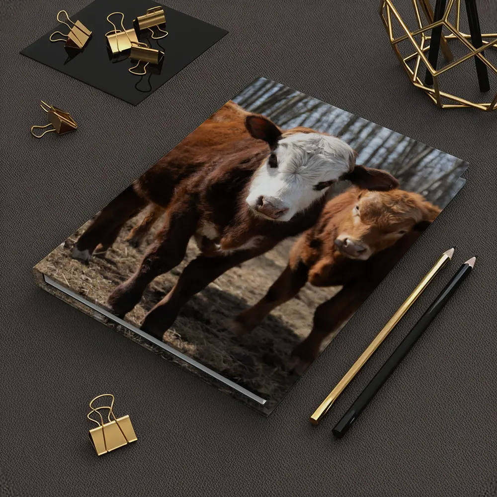 Hereford Calves Standing in Bare Field – Notebooks