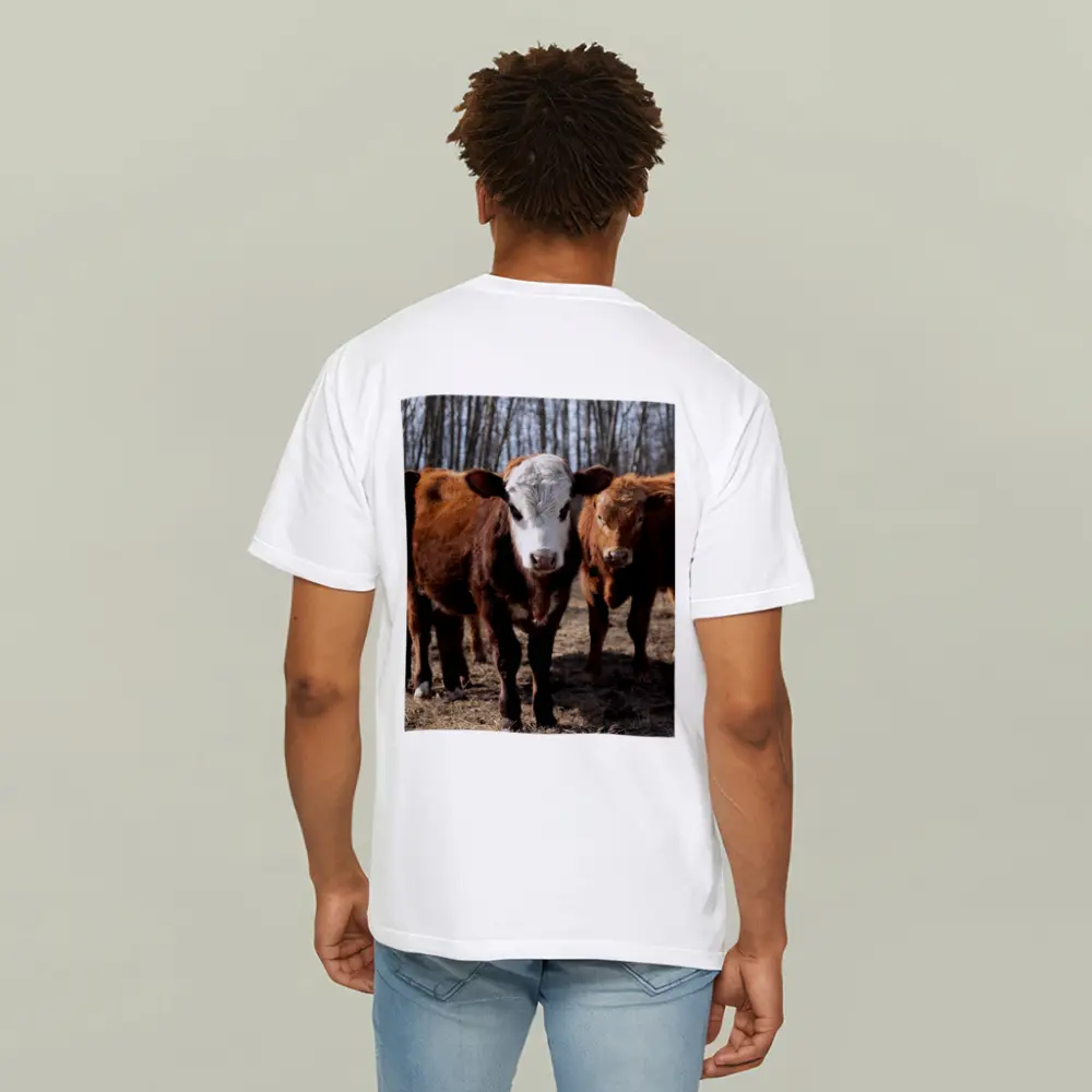Hereford Calves Standing in Bare Field – T-Shirts