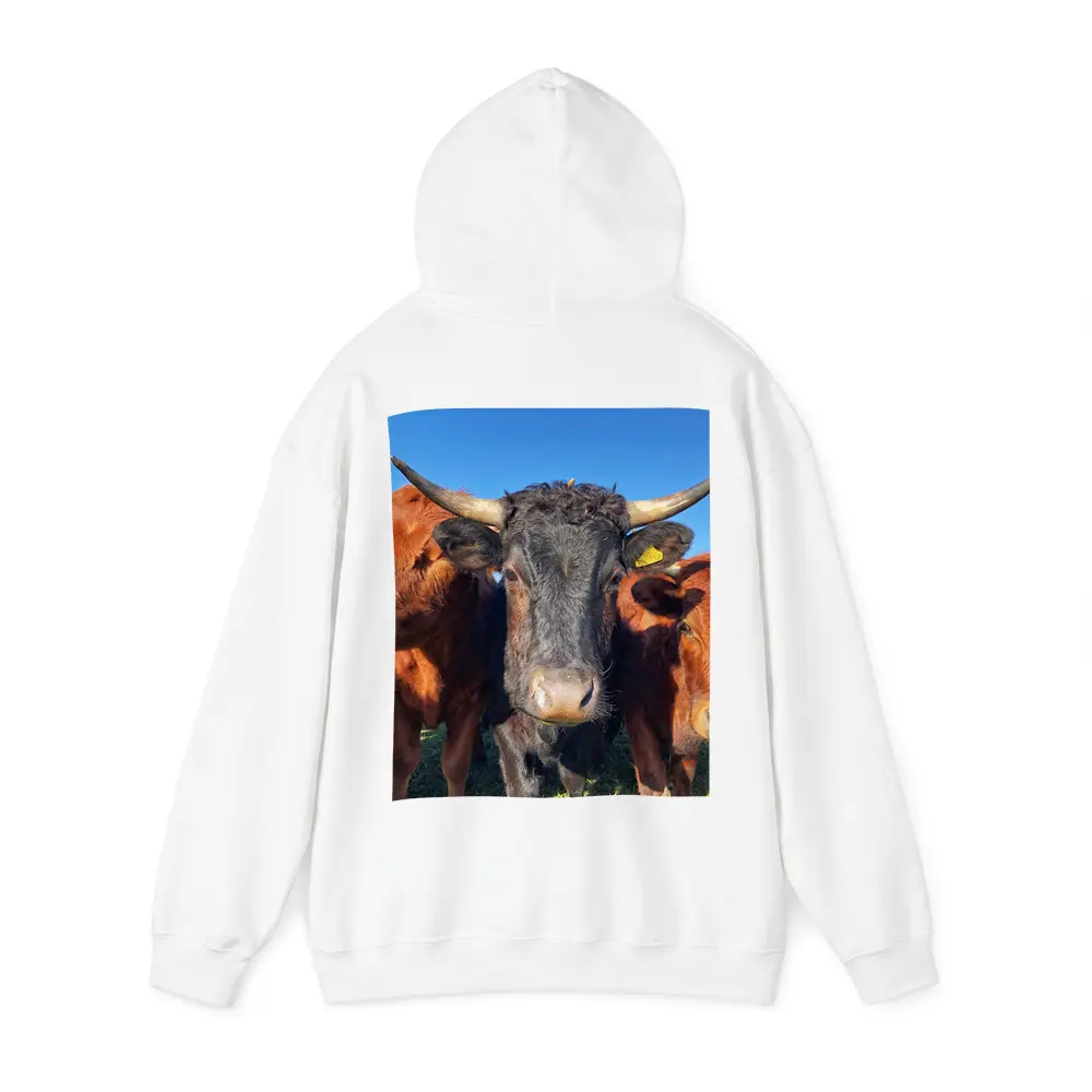 Longhorn Cattle Close Up Blue Sky – Hoodies