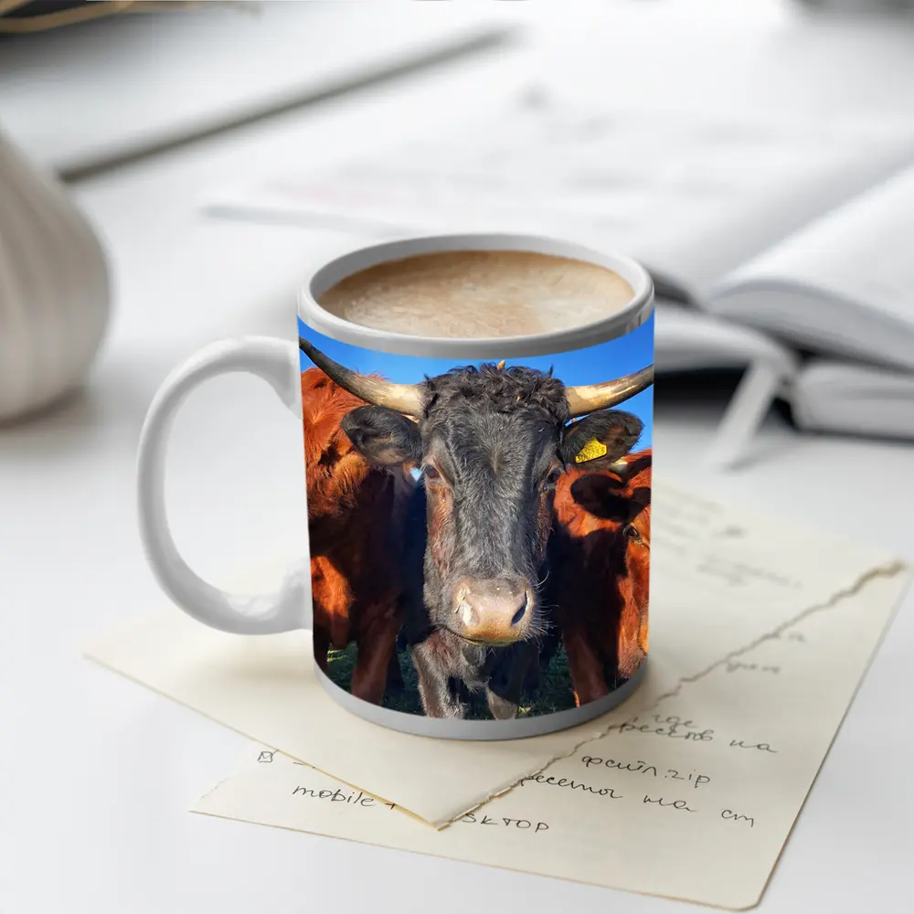 Longhorn Cattle Close Up Blue Sky – Mugs