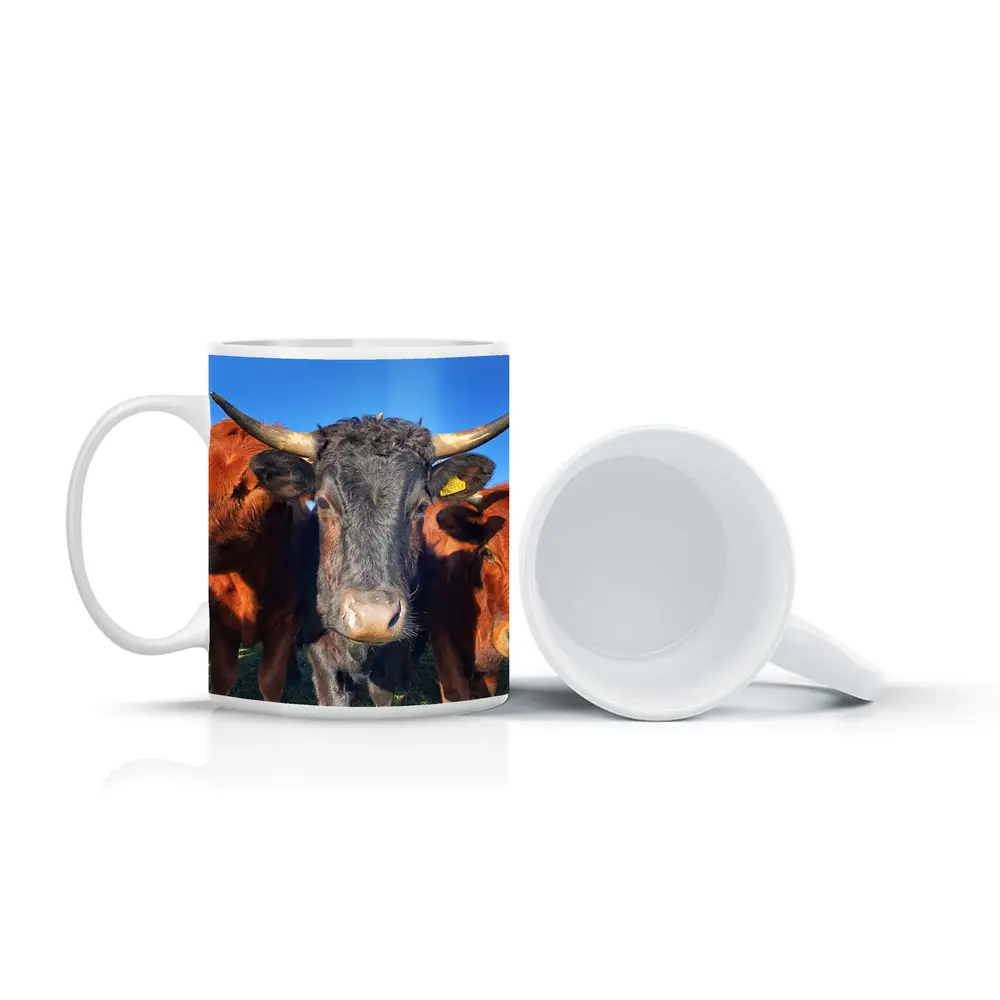 Longhorn Cattle Close Up Blue Sky – Mugs