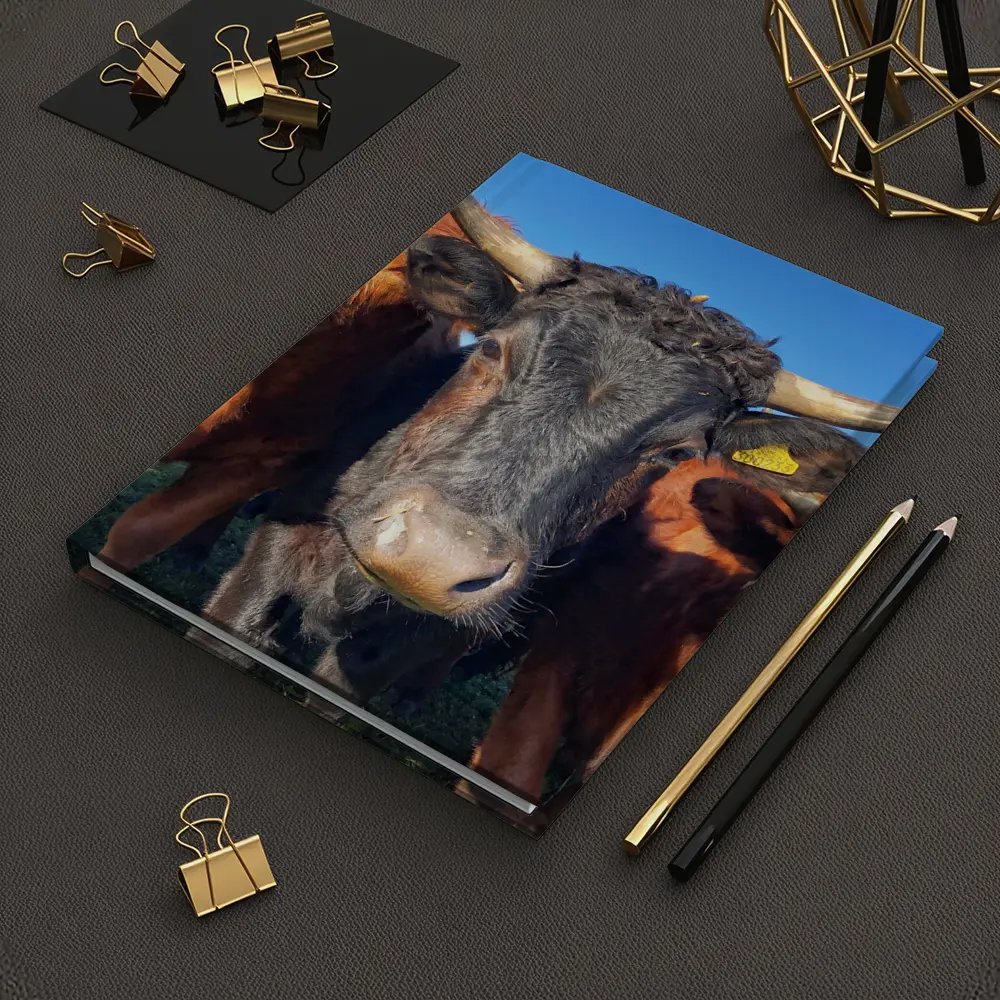 Longhorn Cattle Close Up Blue Sky – Notebooks