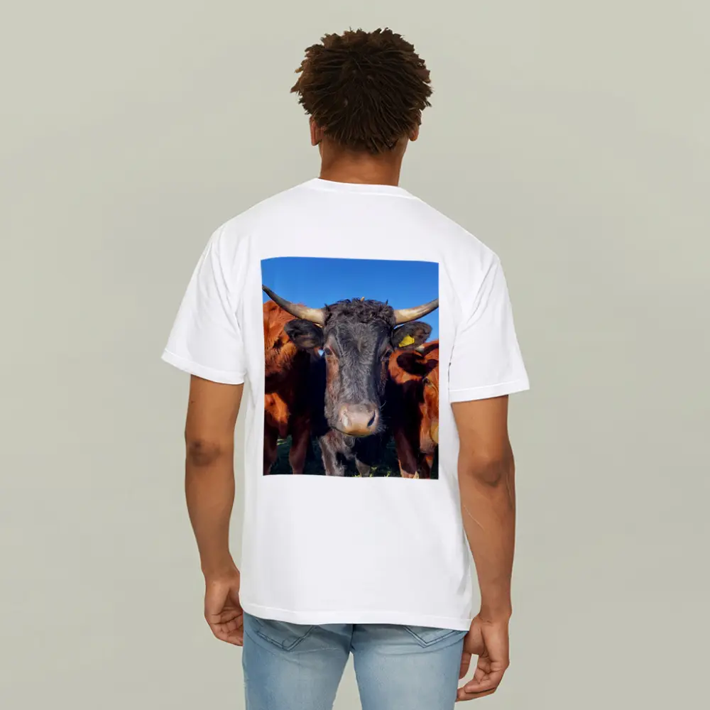 Longhorn Cattle Close Up Blue Sky – T-Shirts