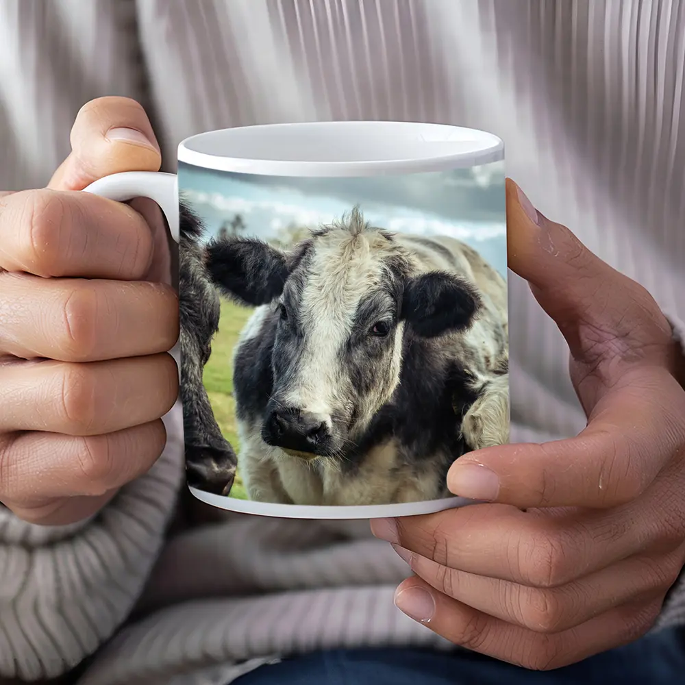 Black White Cow Close Up Green Field – Mugs