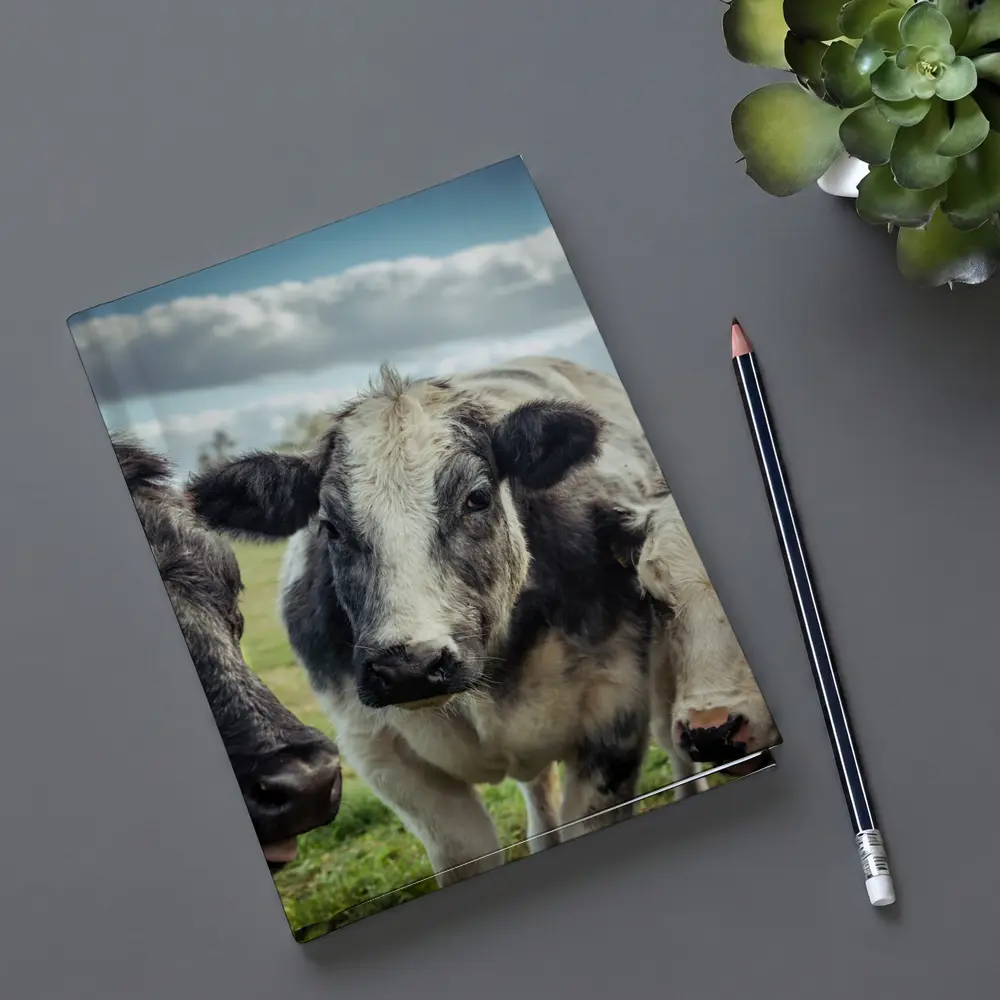 Black White Cow Close Up Green Field – Notebooks